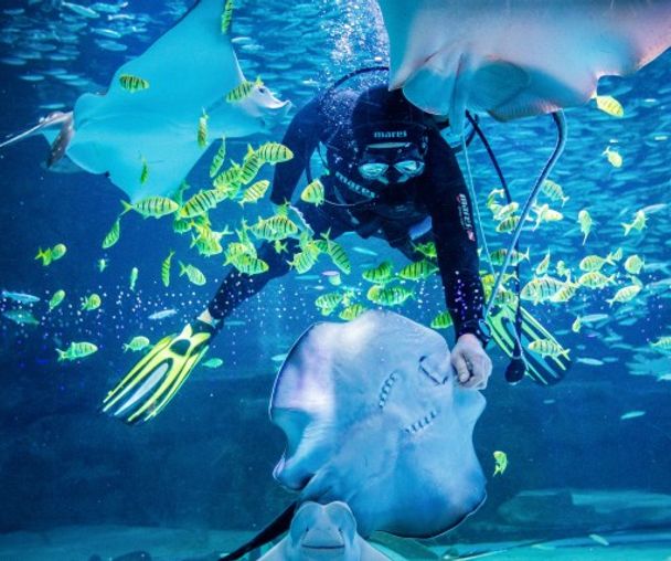 activity_detail_image