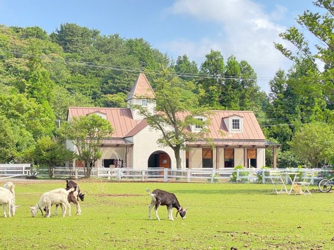제주 길갈 팜 랜드 입장권 + 동물 먹이주기 체험