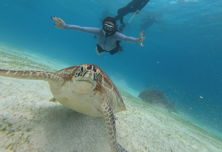 [보홀션] 보홀 발리카삭 샤인 호핑 투어 (고프로 수중촬영, 무료 픽드랍, 전담가이드, 돌고래)