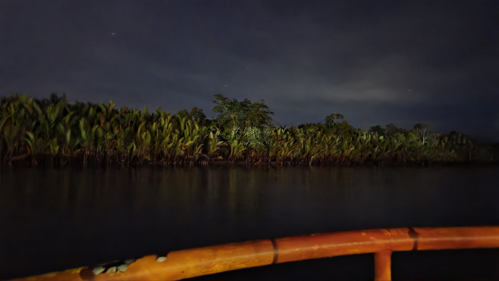 [보홀션] 보홀 샤인 반딧불 & 육상투어