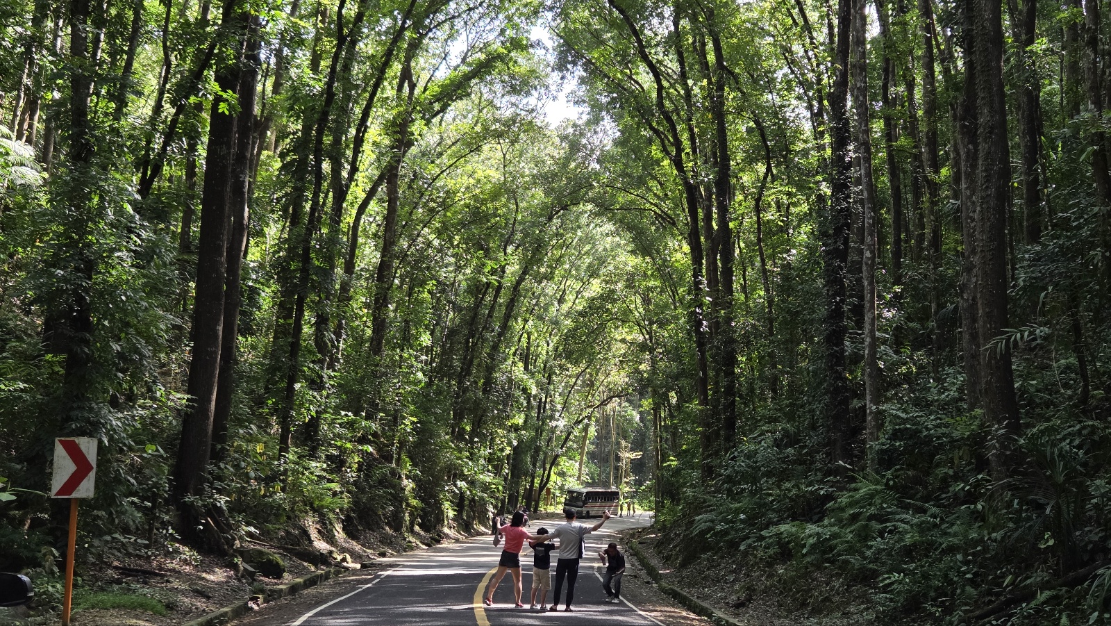 [보홀션] 보홀 샤인 반딧불 & 육상투어