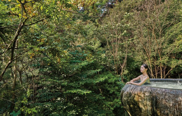 충북 제천 포레스트 리솜 해브나인 스파 입장권