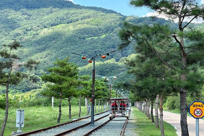 경북 청도 레일바이크 이용권