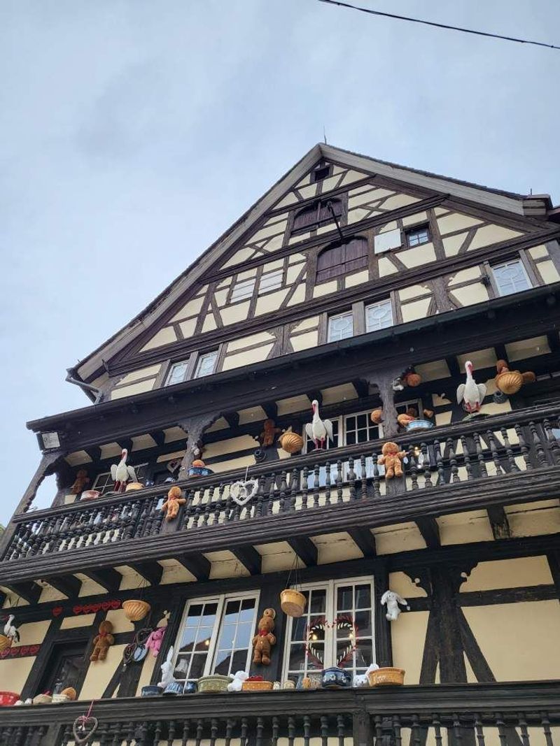 [톡투유] 스트라스부르 시내 가이드 워킹 투어