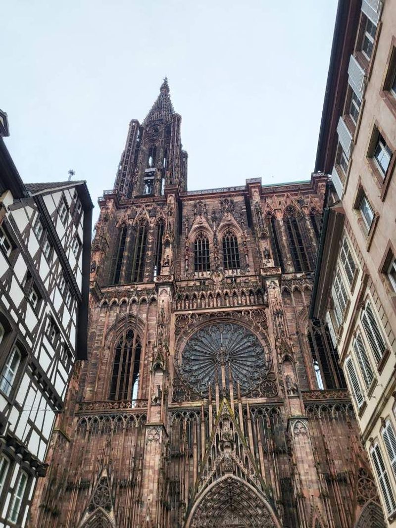 [톡투유] 스트라스부르 시내 가이드 워킹 투어