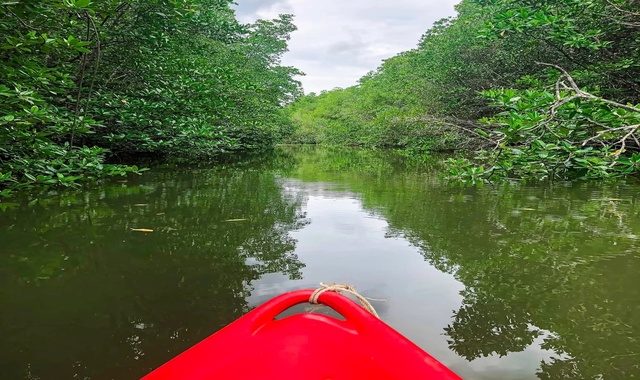 activity_detail_image