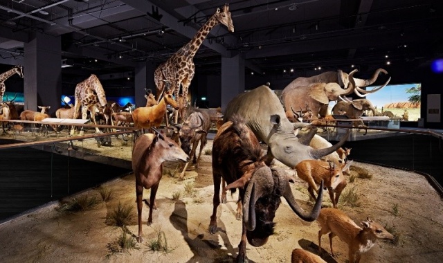 Tainan: Chimei Museum Admission Ticket