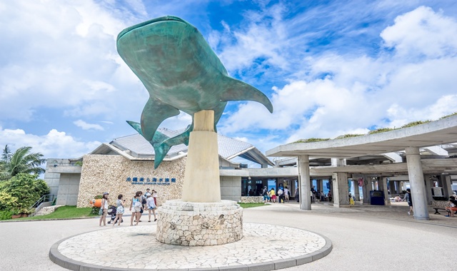 Okinawa: Churaumi Aquarium Admission Ticket (Instant Entry)