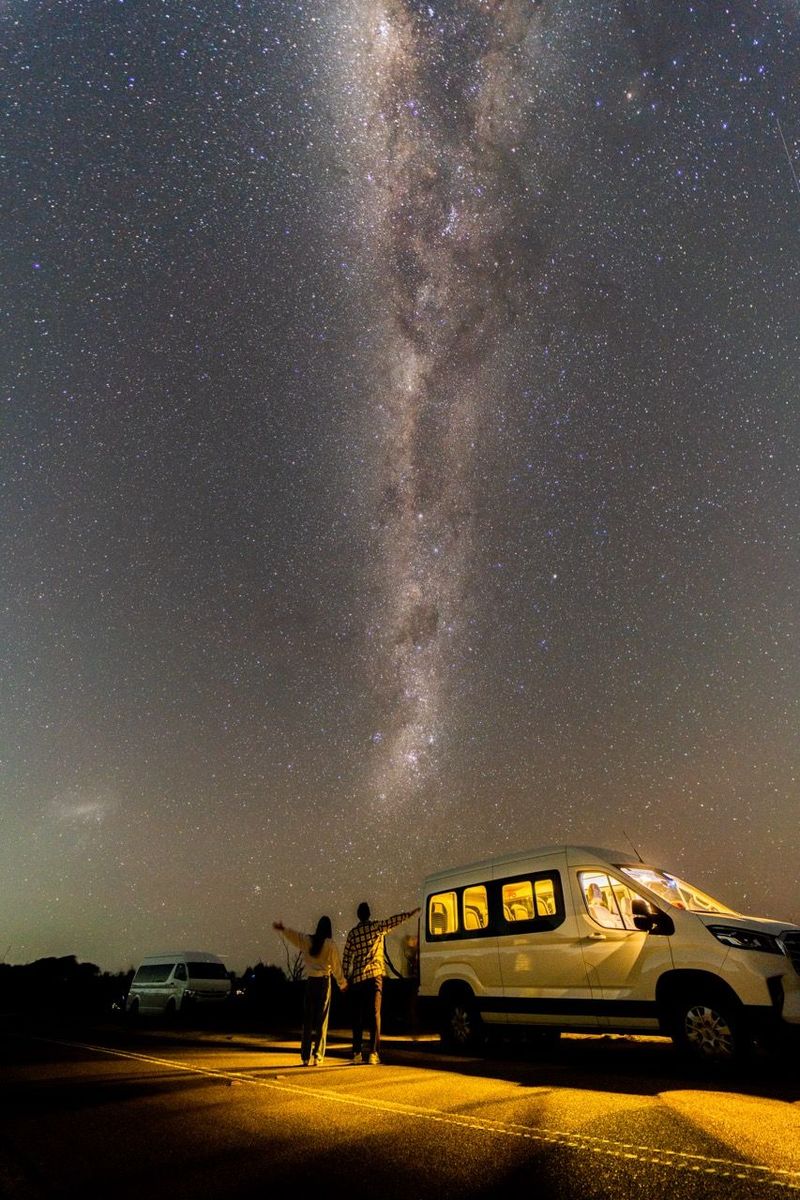 [고호주] 블루마운틴 별보기 그리고 인생 사진 투어 (페더데일 동물원 선택 가능)