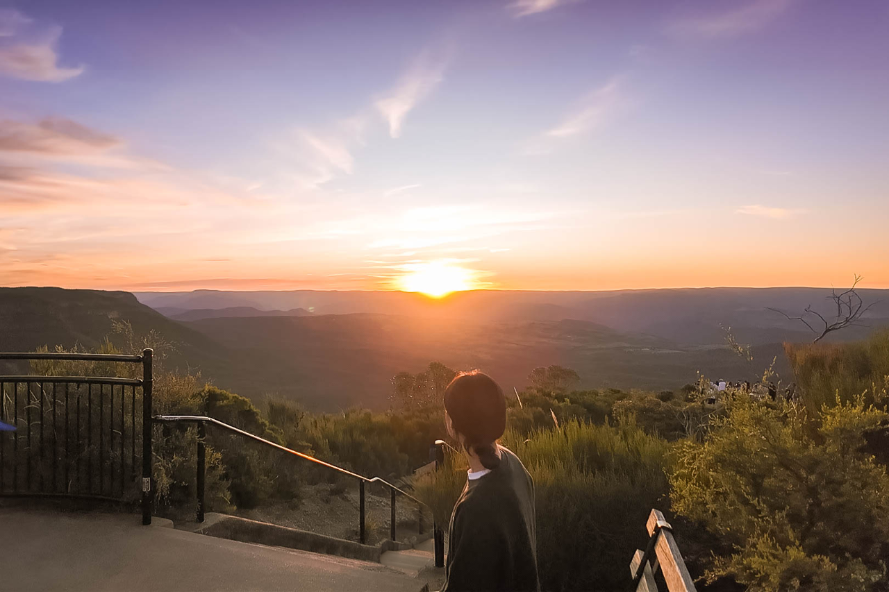 [OTT시드니] 특별 콤보 포트스테판 X 선셋 별보기 블루마운틴 & 페더데일 동물원 2일 투어