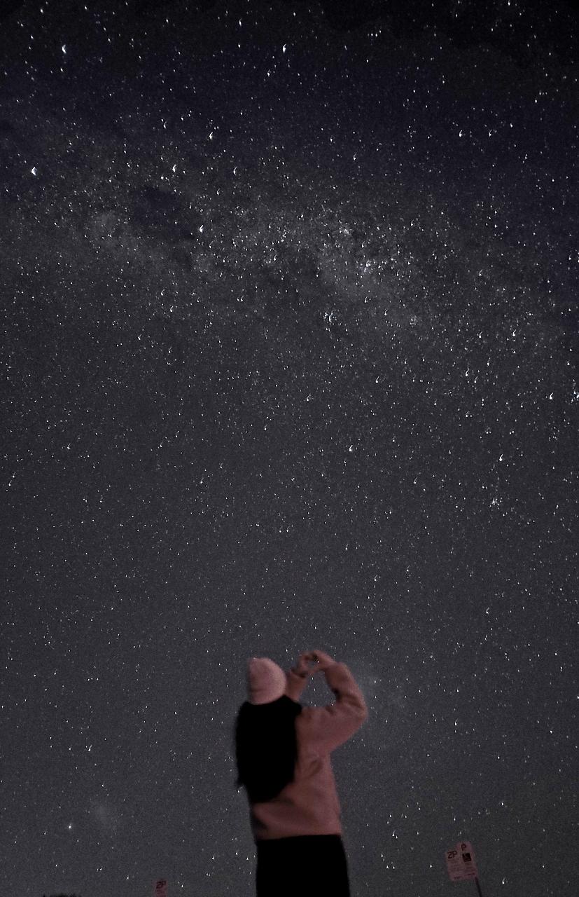 [OTT시드니] 소수정예 선셋 별보기 블루마운틴 & 페더데일 동물원 투어