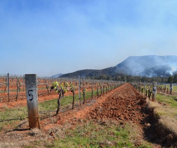 activity_detail_image