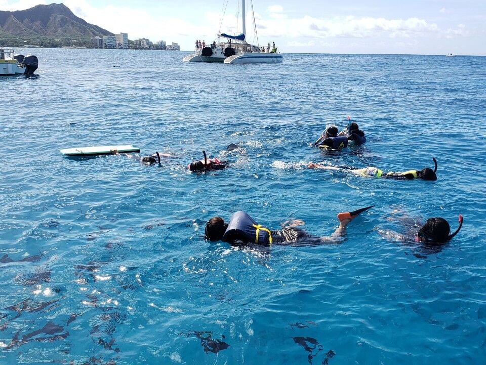 [한인가이드] 하와이 거북이 스노클링, 5종 해양 액티비티 (무료 픽업)