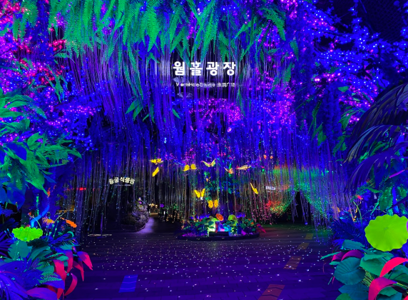 From Seoul: Jebudo Island Cable Car, Rail Bike, Gwangmyeong Cave & Siheung Tower Day Tour