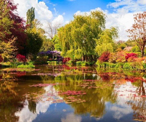 activity_detail_image