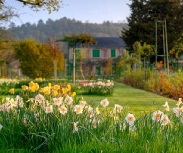 activity_detail_image