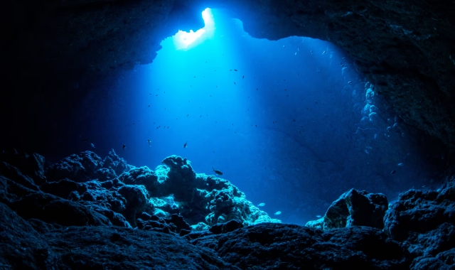 activity_detail_image