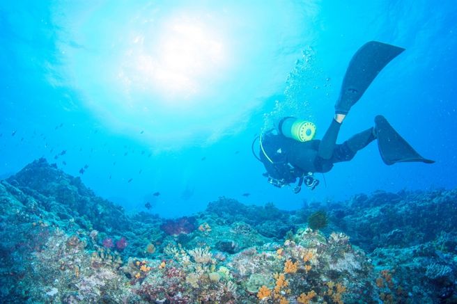 Okinawa Blue Cave Scuba Diving Tour