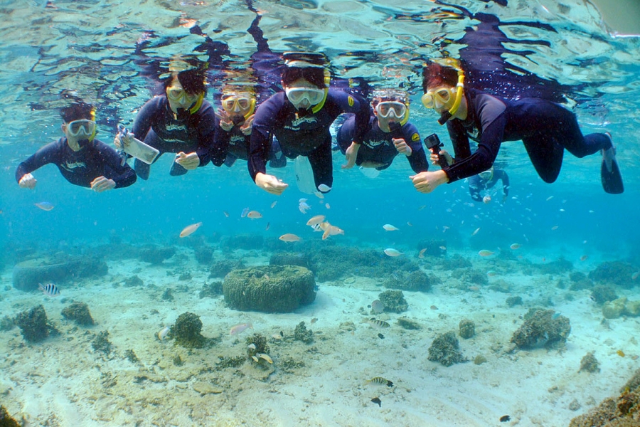 오키나와 푸른동굴 스노클링 + 체험 다이빙 투어 (WAUG Exclusive)