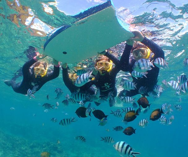 activity_detail_image