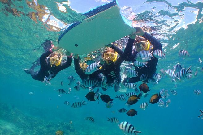 沖縄・青の洞窟シュノーケリングツアー