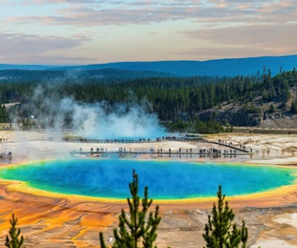 activity_detail_image