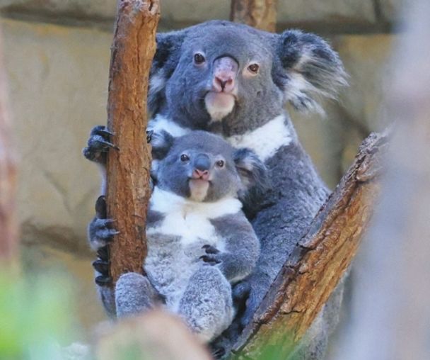 activity_detail_image