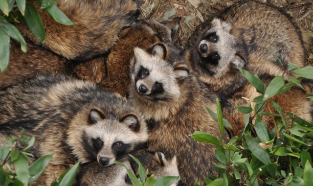 名古屋 東山動植物園 入場チケット