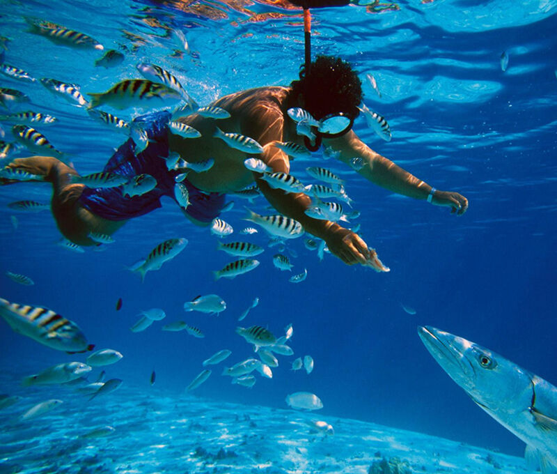 푸꾸옥 보물섬 호핑투어 - 한국인 가이드