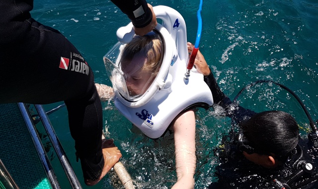 다낭/호이안 출발: 참섬 스노클링 & 씨워킹 체험 투어