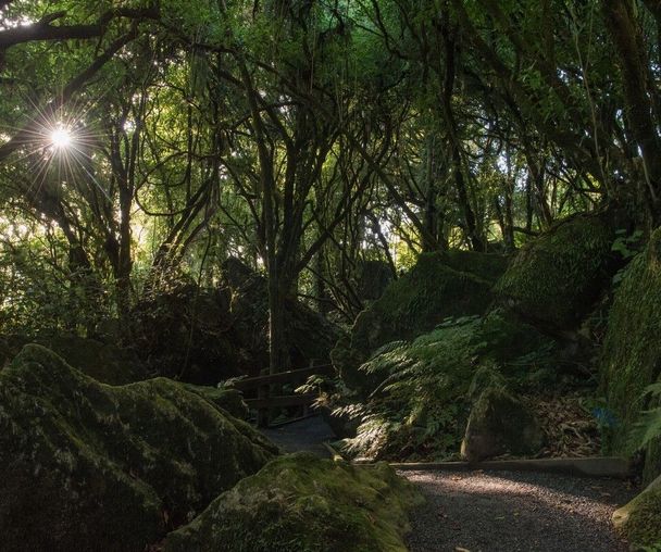 activity_detail_image