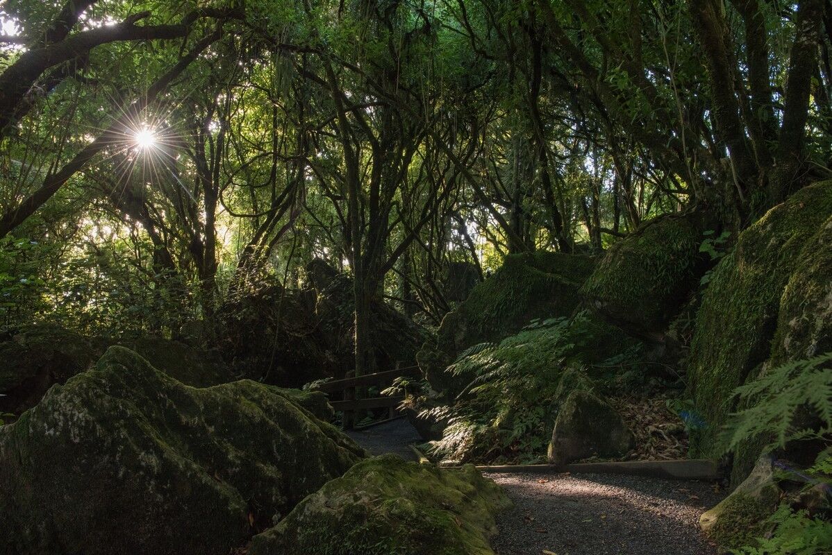 [마이리얼NZ투어] 뉴질랜드 반지의 제왕, 호빗마을 촬영지 4종 세트 단독 투어