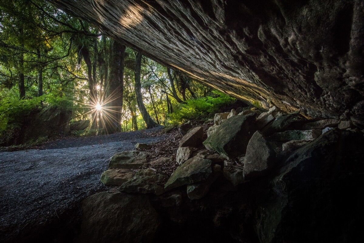 [마이리얼NZ투어] 뉴질랜드 반지의 제왕, 호빗마을 촬영지 4종 세트 단독 투어