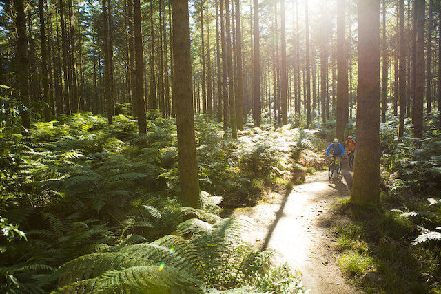 [마이리얼NZ투어] [2박3일] NZ핵심 로토루아 타우포 호비튼 & 와이토모 단독 투어