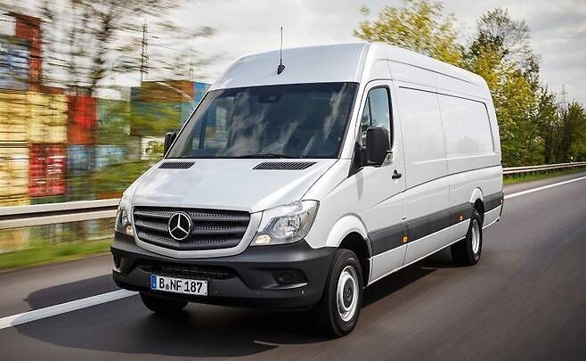 [마이리얼NZ투어] 반짝반짝 와이토모 반딧불 동굴 투어