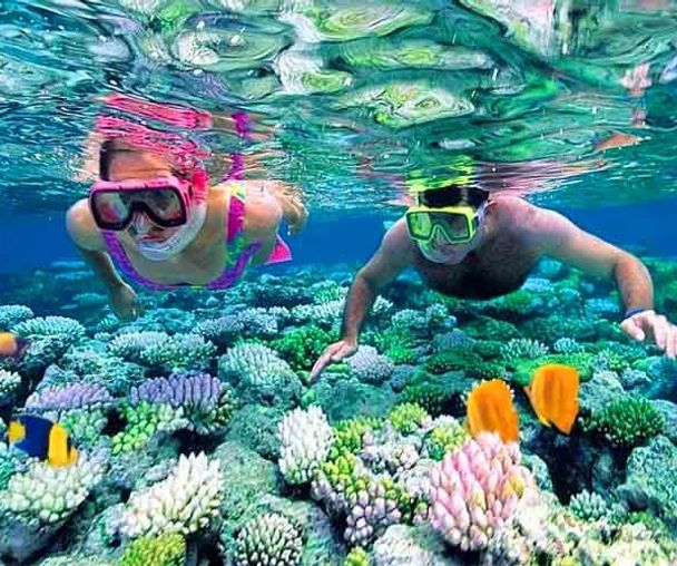 activity_detail_image