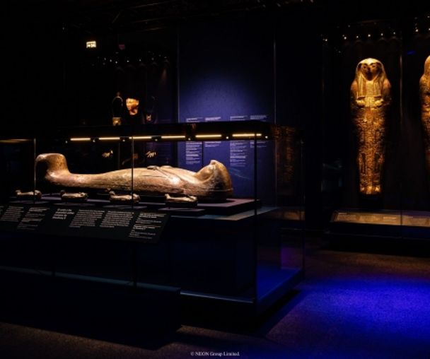 activity_detail_image