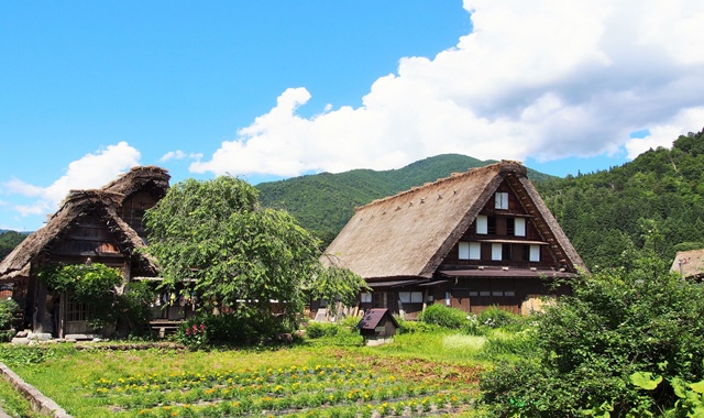 Shirakawa-go and Hida & Takayama Day Trip from Nagoya Station