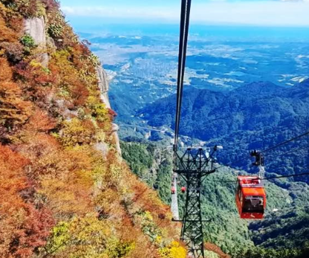 activity_detail_image