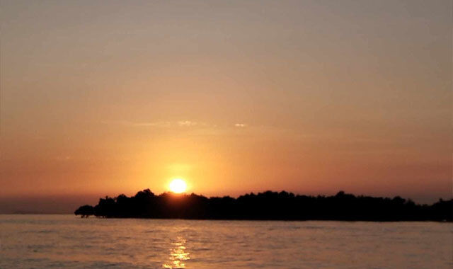 [렛츠고보홀] 보홀 선셋 디너 반딧불 투어 (선상 디너뷔페 / 라이브 뮤직)