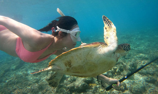 [렛츠고보홀] 보홀  발리카삭 호핑투어 (포인트 1회 추가, 고프로, 픽드롭, 무료 짐보관, 간식타임)