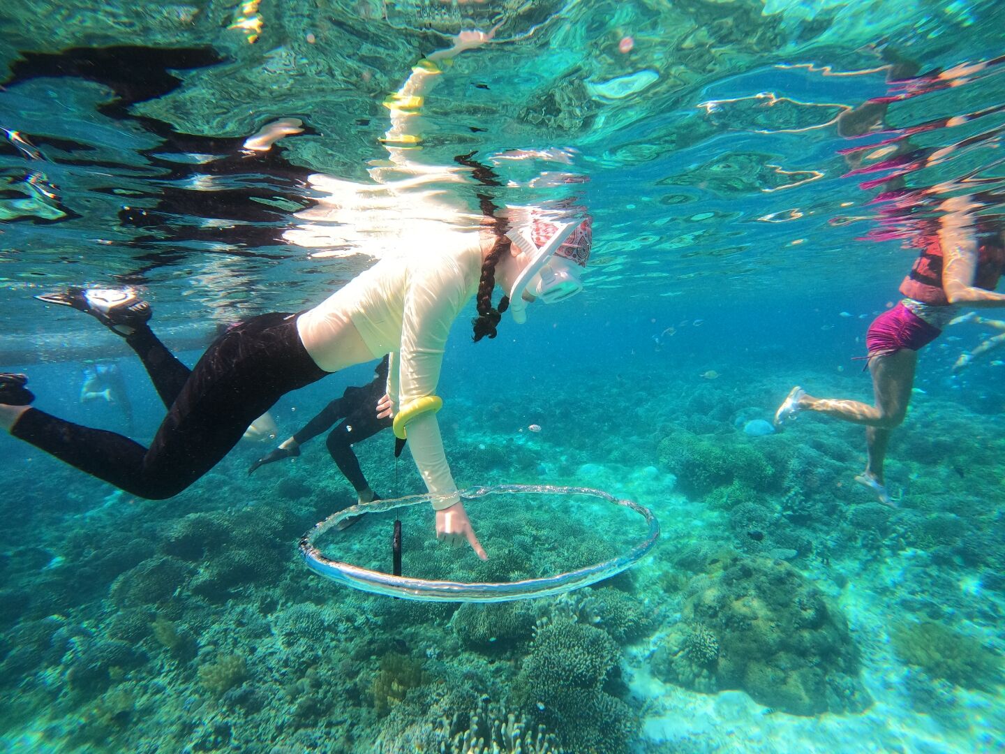 [렛츠고보홀] 보홀 발리카삭 돌고래 거북이 열대어 왓칭 호핑투어 (고프로, 픽드랍, 짐보관, 오전간식+씨푸드 점심)