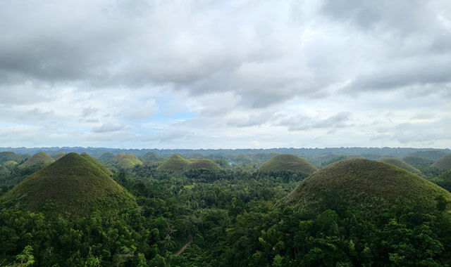 [렛츠고보홀] 보홀 핵심 육상 투어 (초콜렛힐 + 안경원숭이 + 맨메이드포레스트)