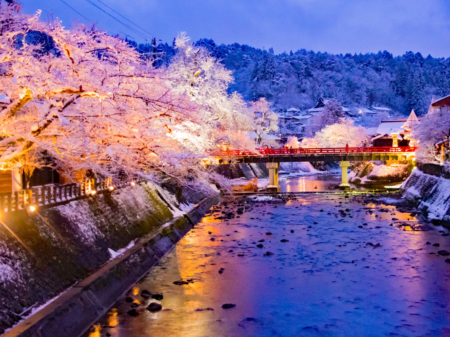 Shirakawago & Takayama Day Tour from Nagoya (WAUG Exclusive)