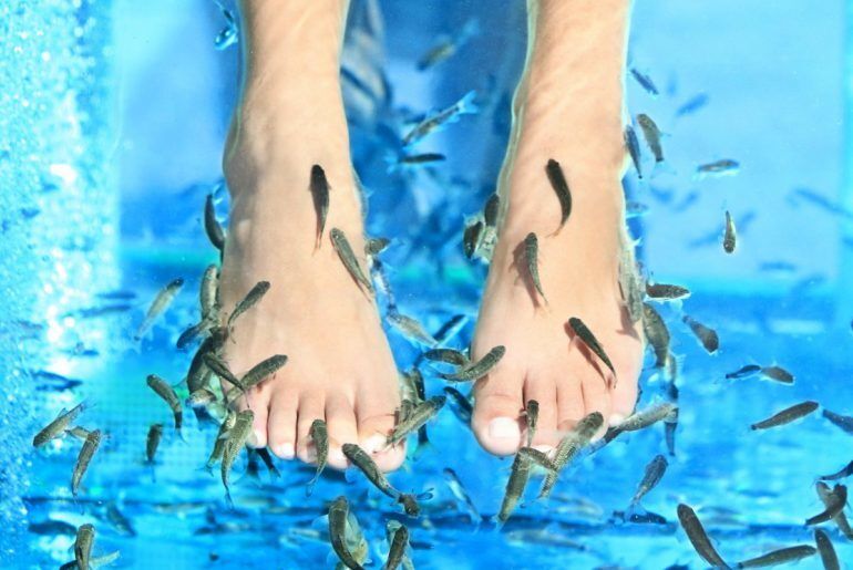 [다낭고스트] 계곡 래프팅 & 힐링 투어 (오전 /오후 선택)