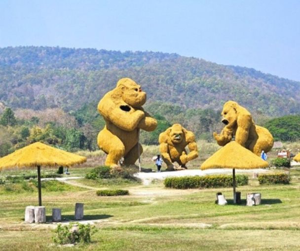 activity_detail_image