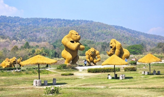 치앙마이 몬쨈 + 후웨이퉁타오 호수 단독 투어 (한국어 가이드 포함)