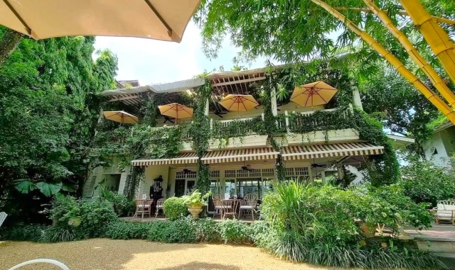 치앙마이 화이트 템플 + 매카찬 온천 + 블루 템플 + 싱하 파크 단독 투어 (한국어 가이드 포함)