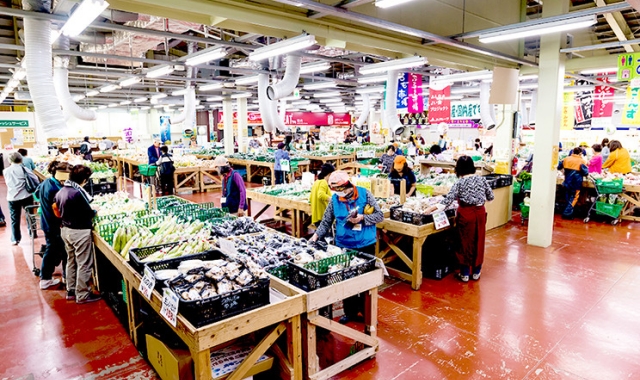 [독점할인] 나하 출발: 오키나와 남부 버스 투어 (치넨곶, 미바루 비치, 오키나와 월드, 세나가섬) - WAUG Exclusive