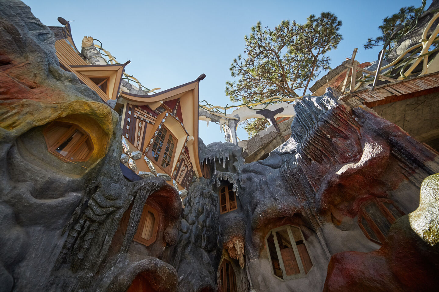 [베나자] [1박2일] 베트남의 숨은 보석, 달랏 투어 - 나트랑 출발